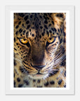 Fearless Leopard art frame poster