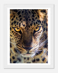 Fearless Leopard art frame poster - SKANDINAVER