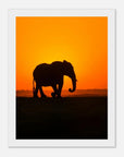 Sunset elephant art frame Poster - SKANDINAVER