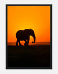 Sunset elephant art frame Poster - SKANDINAVER