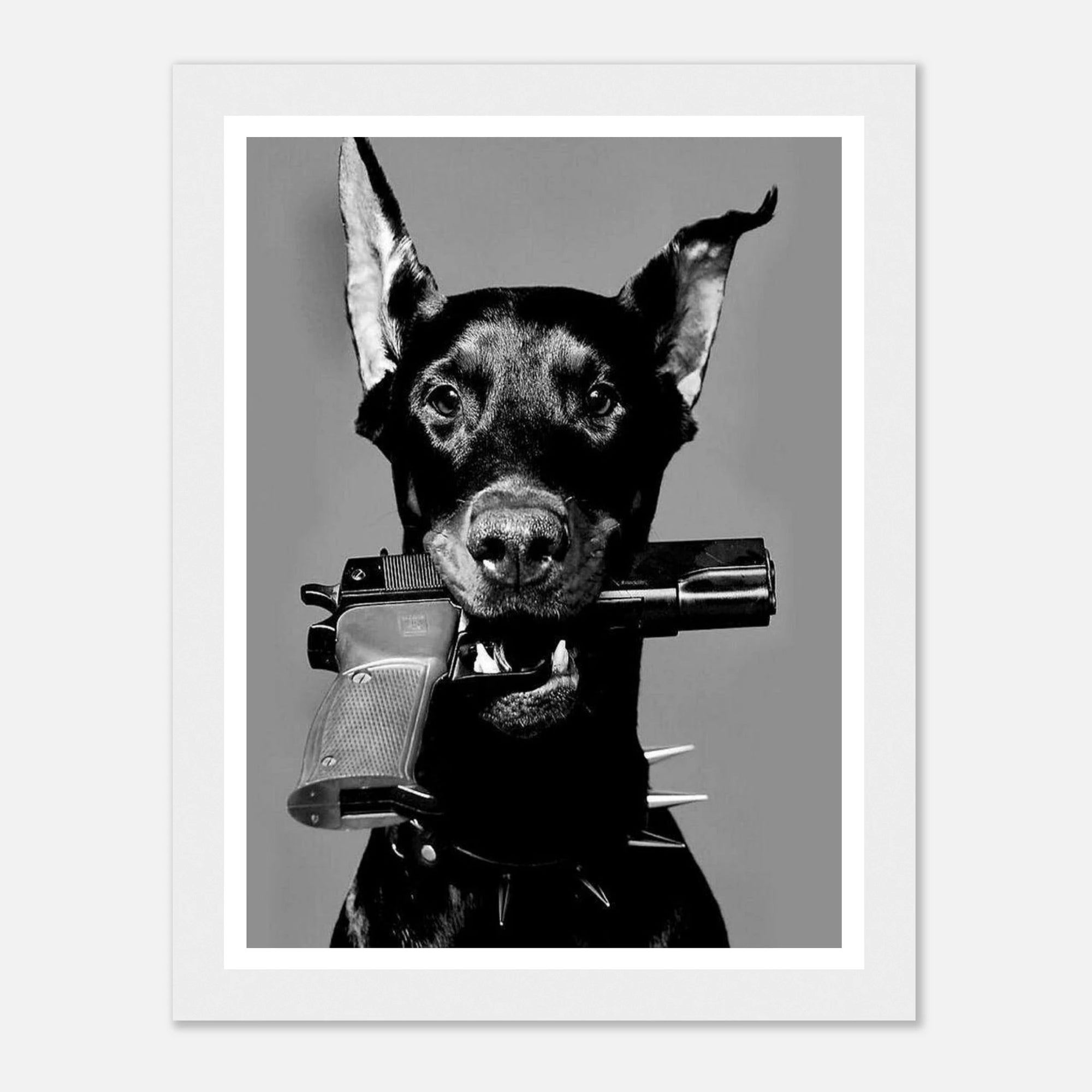 1019d6f0-3c9d-4778-935c-764cdd2472b1