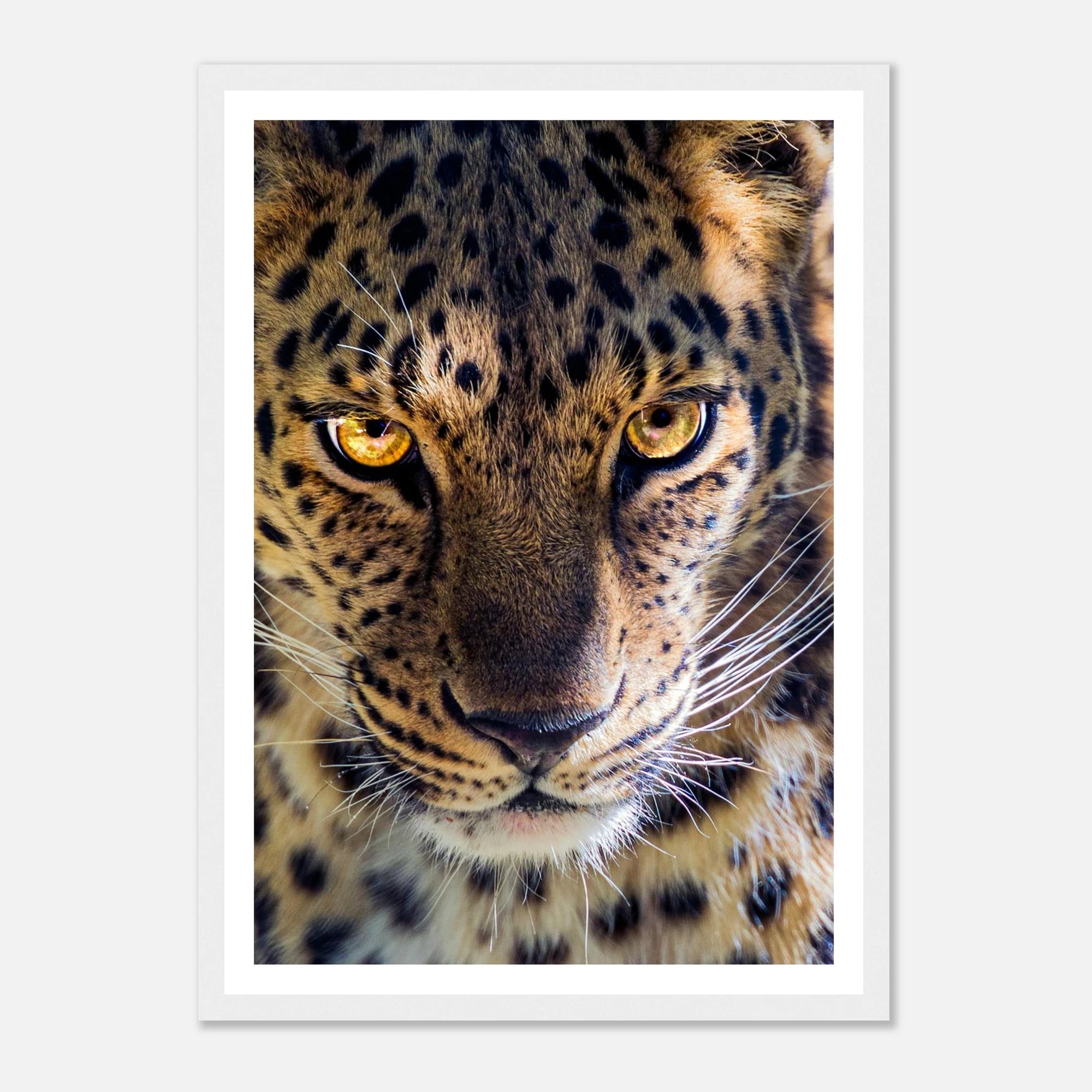 625f67cf-1628-4a5b-ac2c-9111689785c0