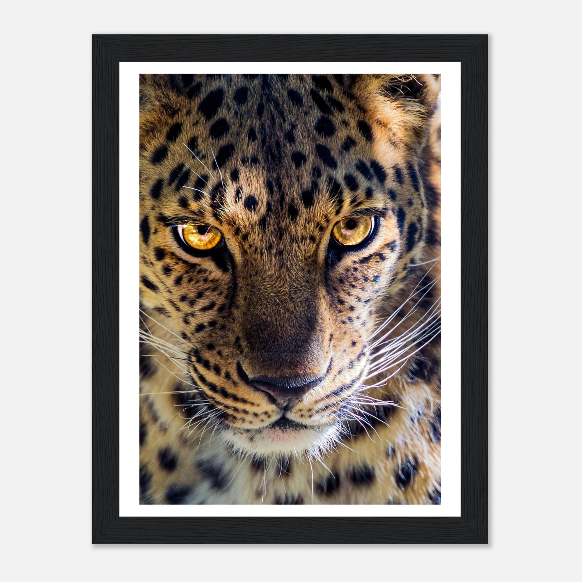 676b5e33-7333-4fd7-811b-18008acaab2c