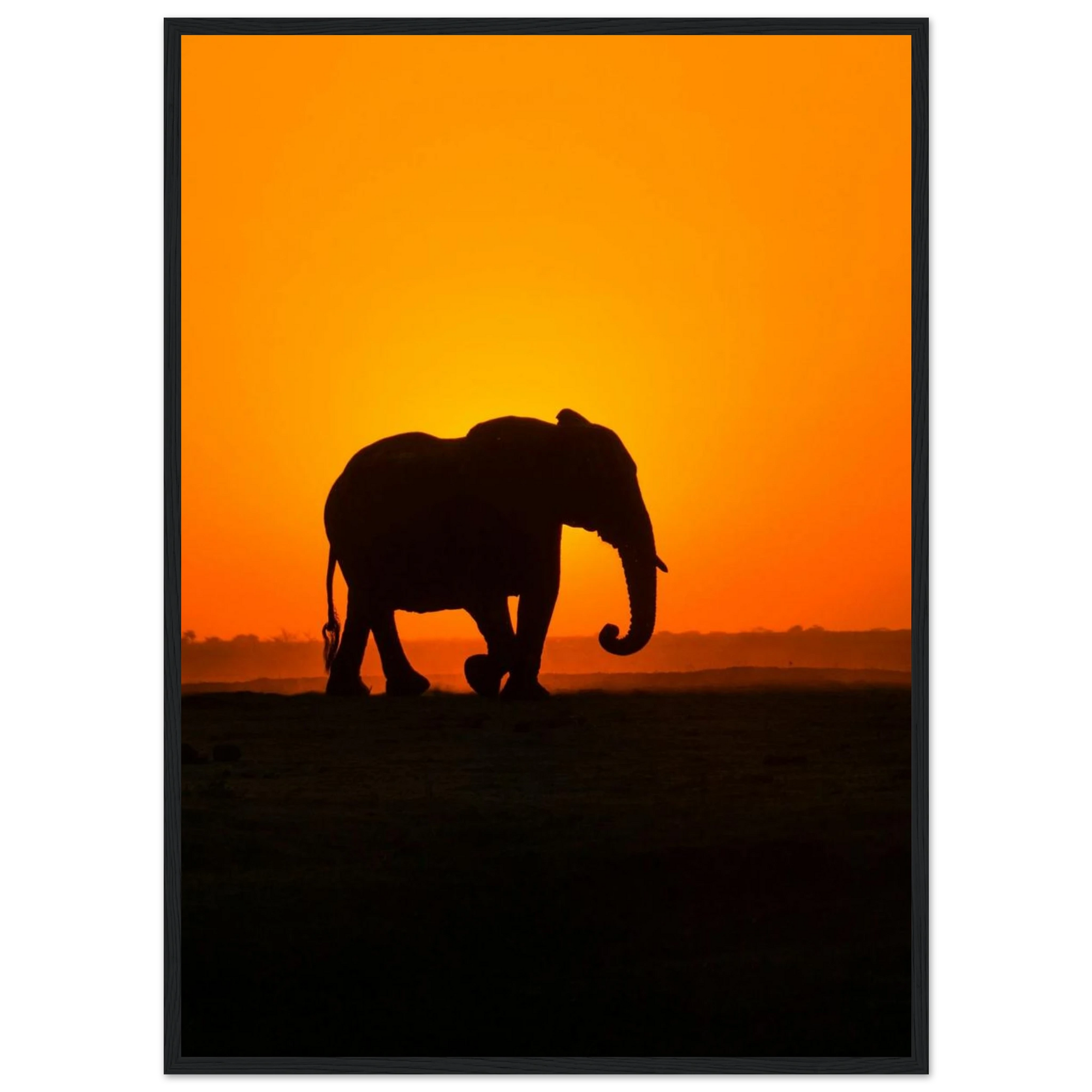 bf8e1a79-7204-4156-8bc9-8f65bc50d963