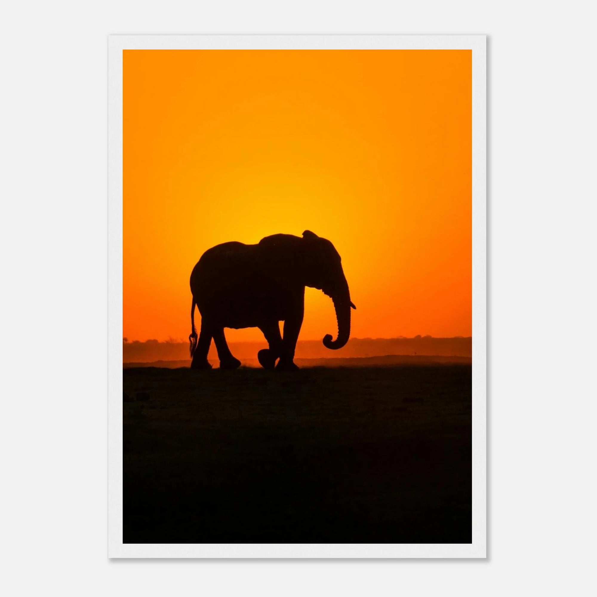 c2f0526b-902d-4361-a2f0-4c331f6a2eed