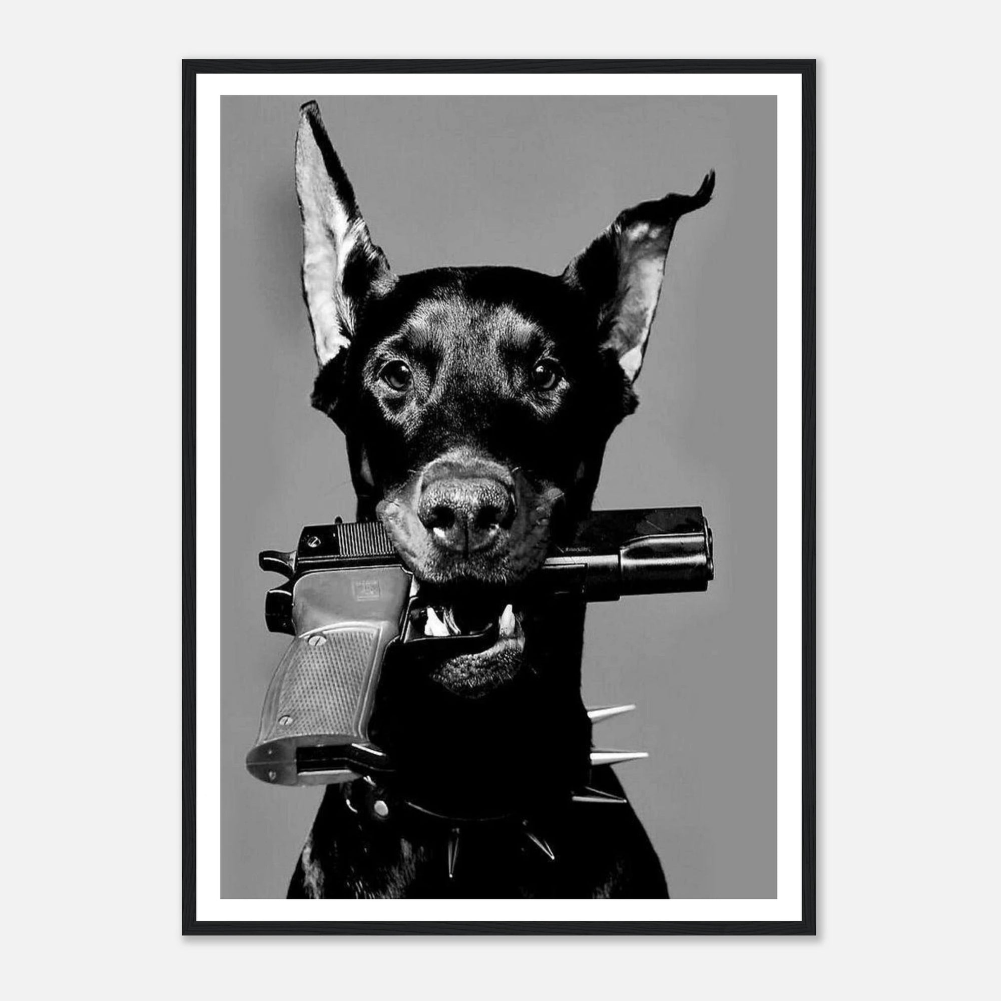 c6c33345-48ec-469f-81aa-f69fadc4cad0