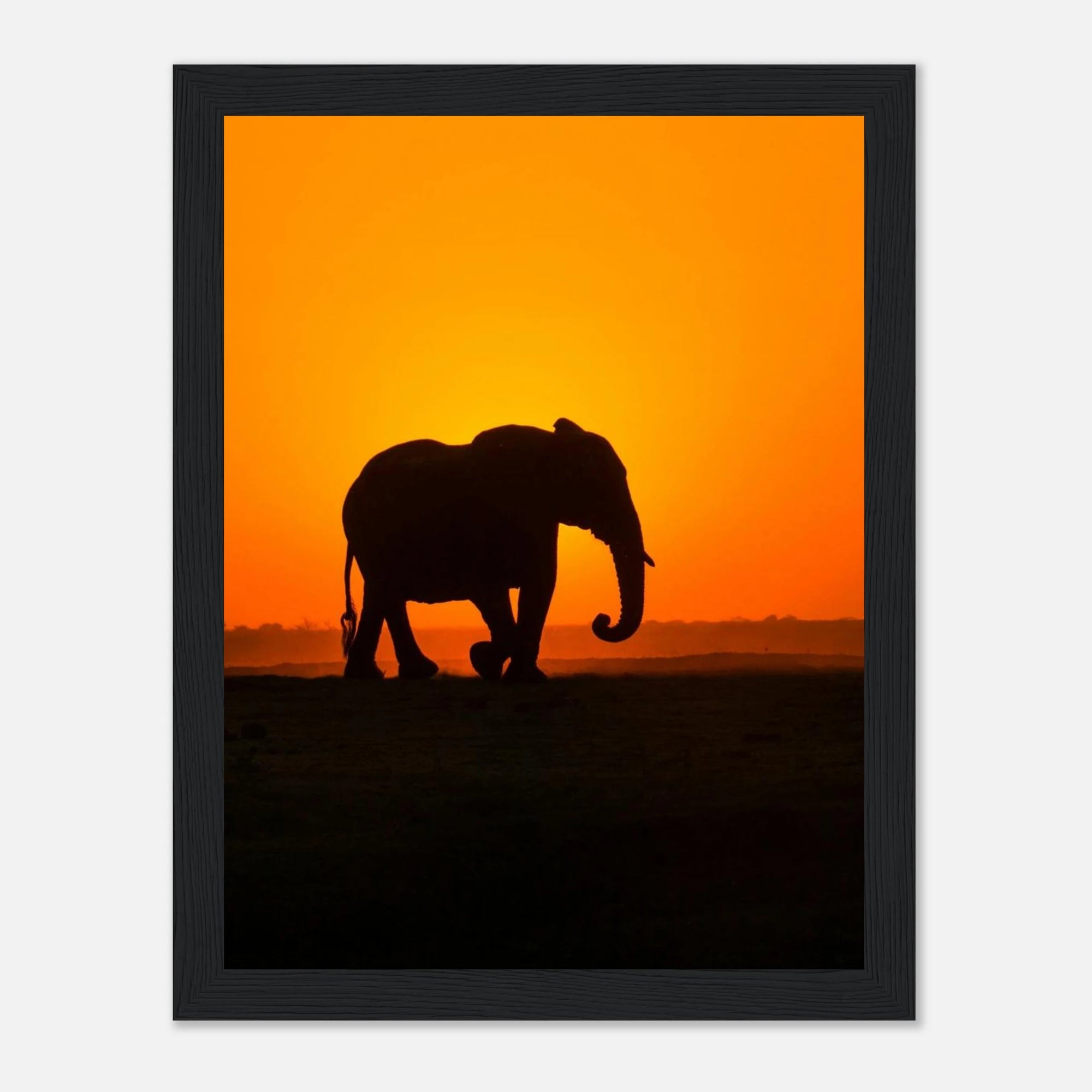 c7be07f6-2a59-44ad-8776-c09104a527d2