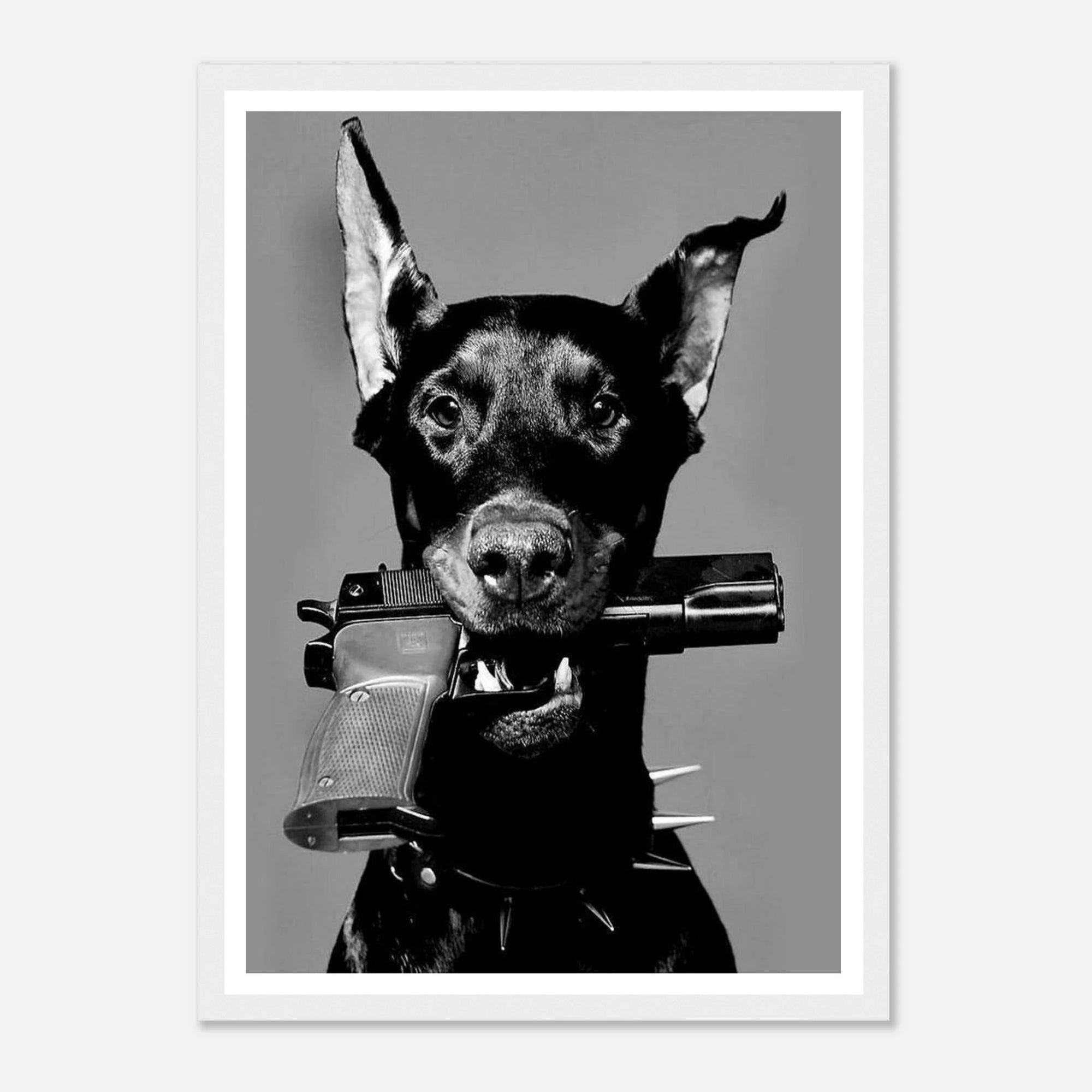 d5e9901b-7524-4ec3-bda0-4384f4dc968a