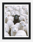 Det Sorte får art frame fashion - SKANDINAVER