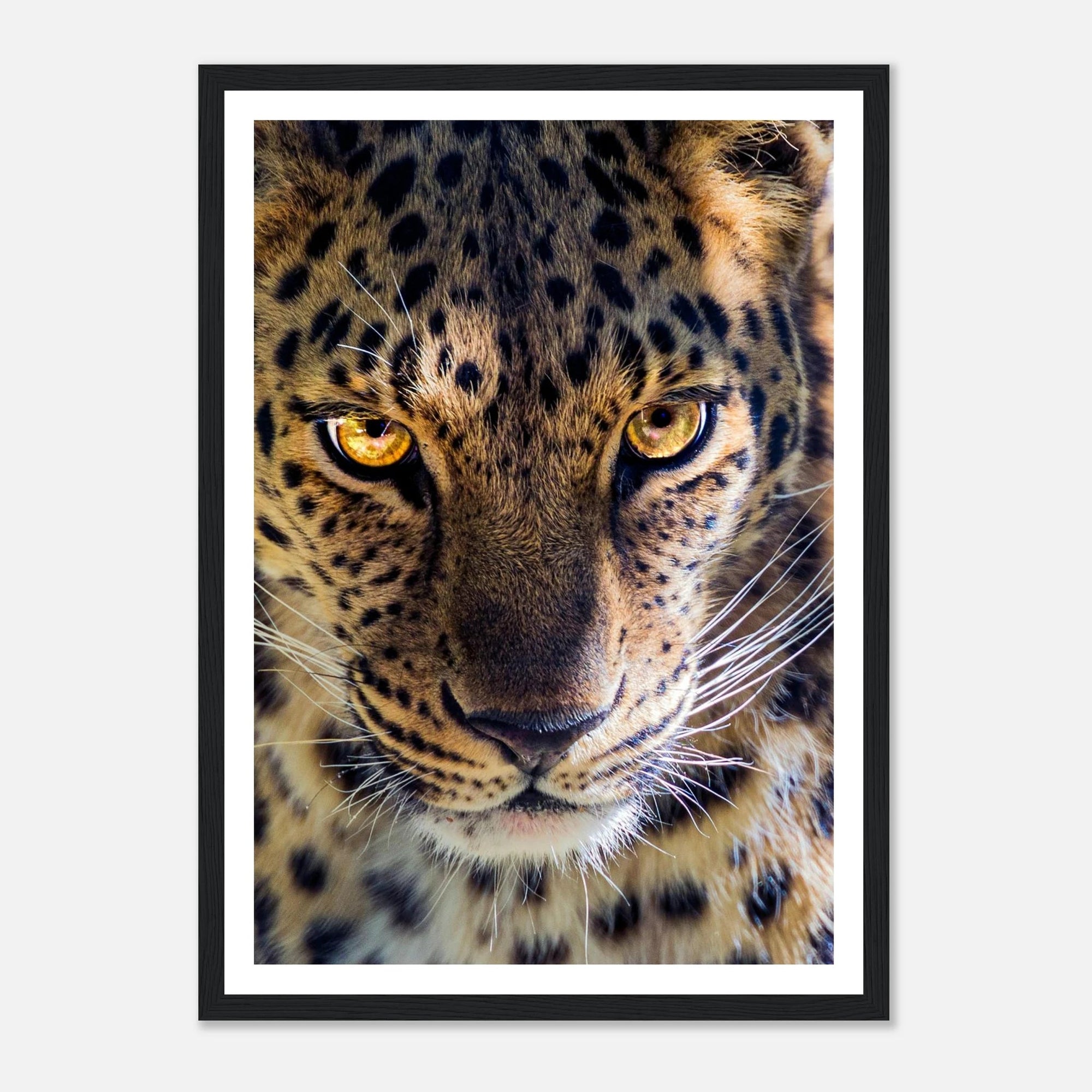 Fearless Leopard art frame poster - SKANDINAVER