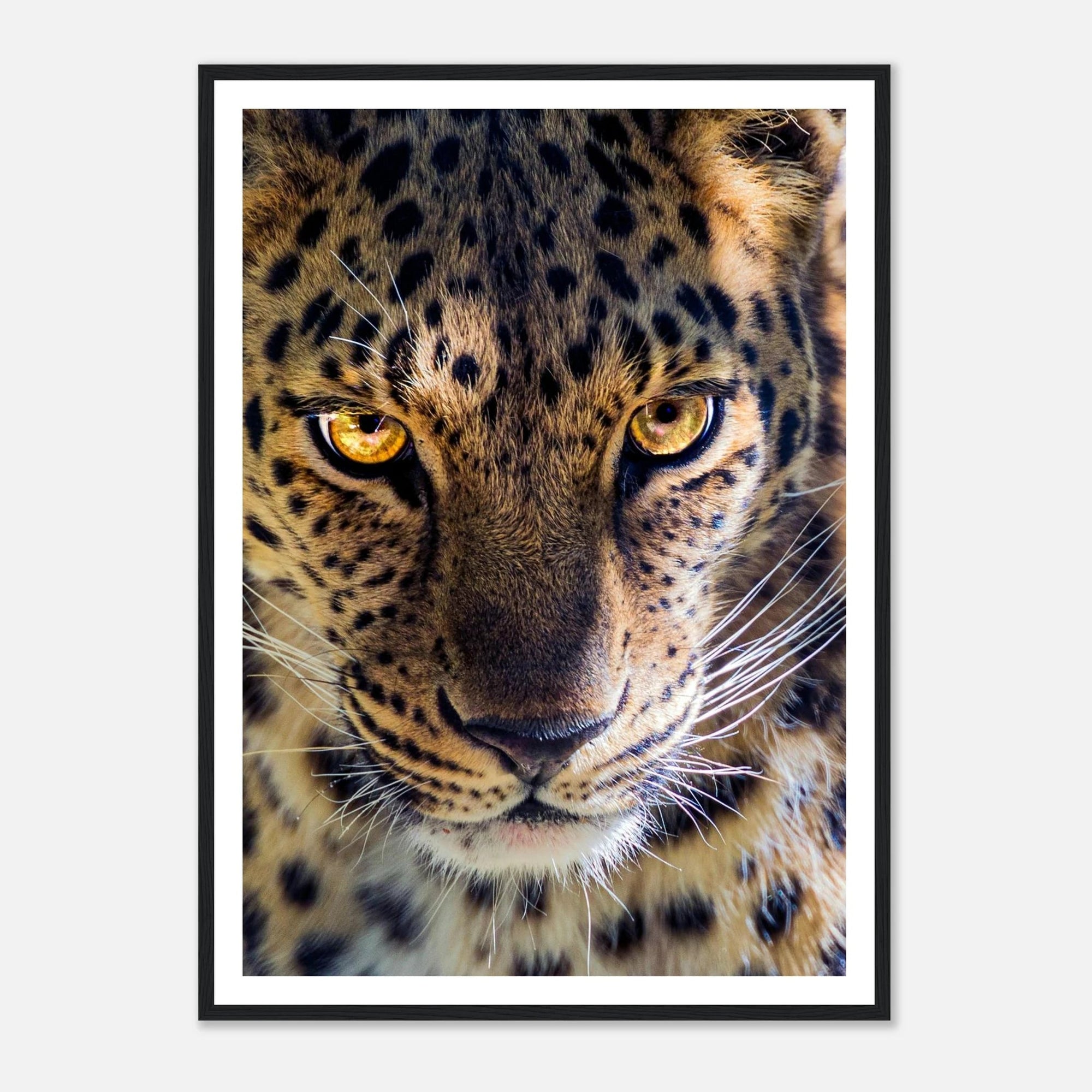 Fearless Leopard art frame poster - SKANDINAVER