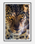 Fearless Leopard art frame poster - SKANDINAVER