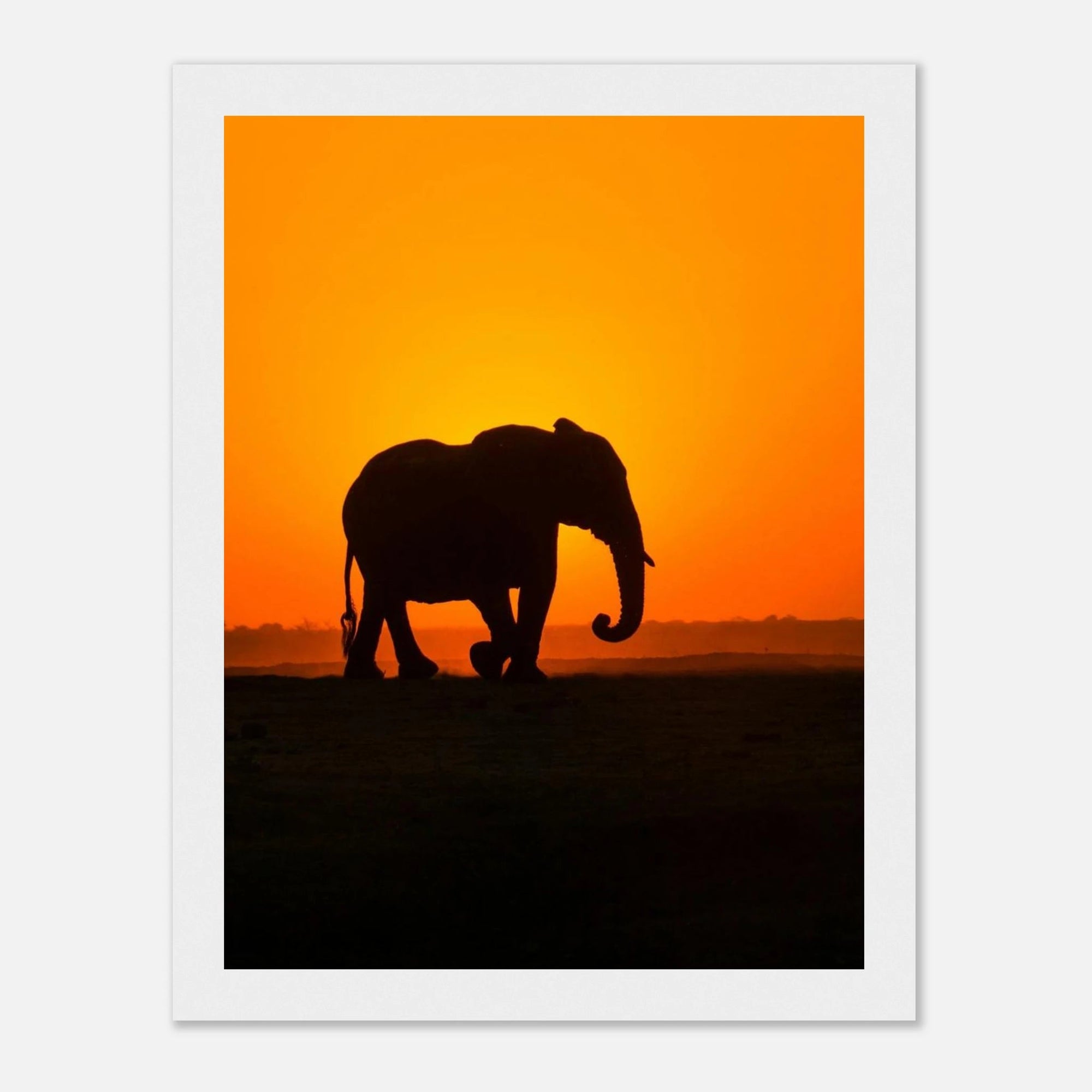 Sunset elephant art frame Poster - SKANDINAVER