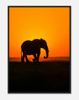 Sunset elephant art frame Poster - SKANDINAVER