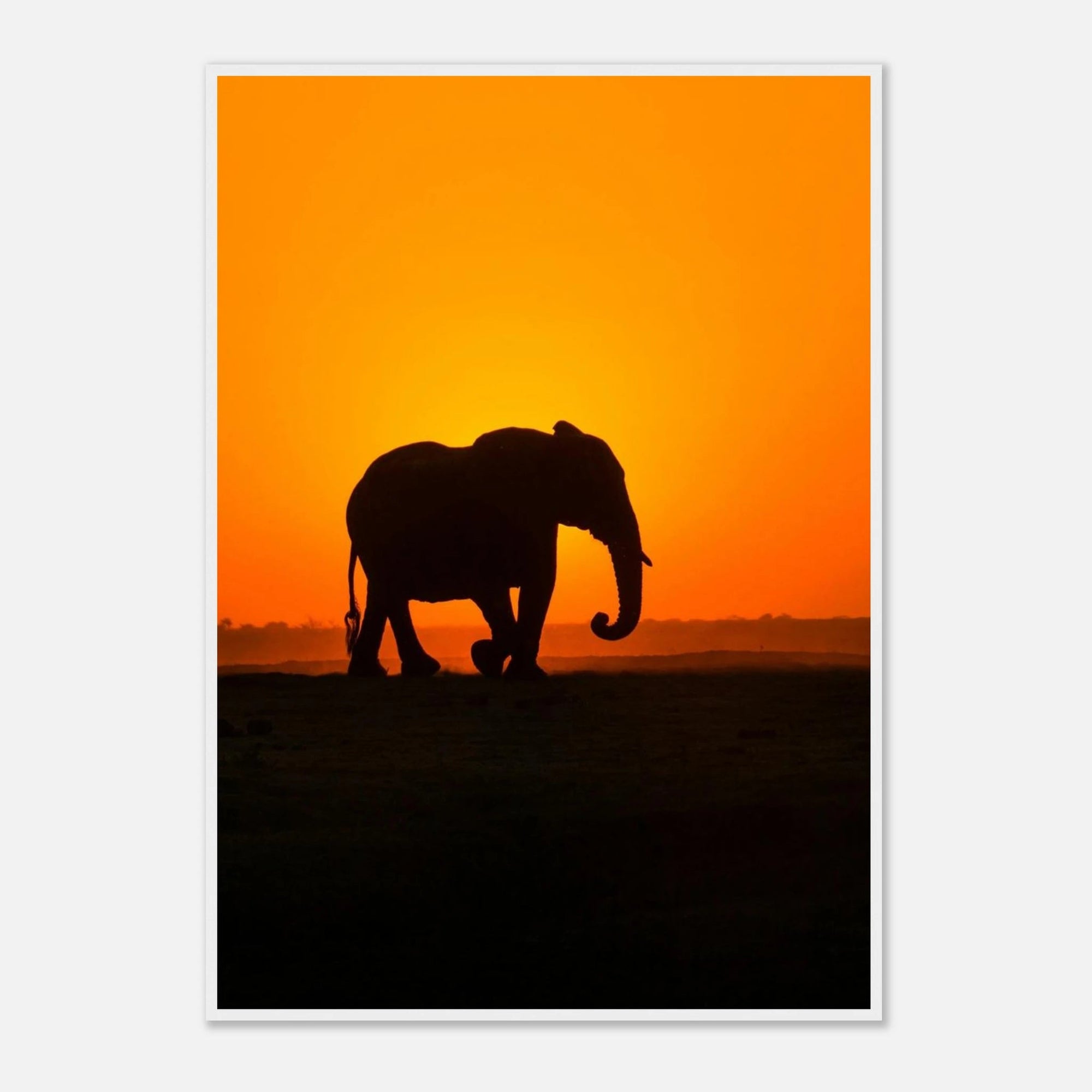 Sunset elephant art frame Poster - SKANDINAVER