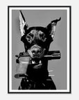 west - oslo - doberman art frame for fashion - SKANDINAVER