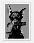 west - oslo - doberman art frame for fashion - SKANDINAVER